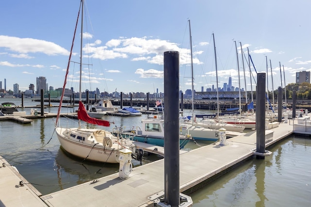 110 Washington St Unit 8, Hoboken, NJ 07030 - dock featuring a skyline view and a water view