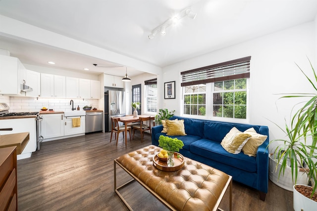 235 Sherman Ave, Jersey City, NJ 07307 - living room featuring dark wood-type flooring, rail lighting, and recessed lighting