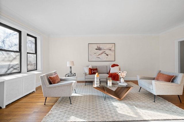 living area featuring radiator, light wood-type flooring, ornamental molding, and baseboards