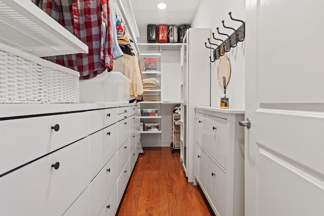 spacious closet featuring wood finished floors