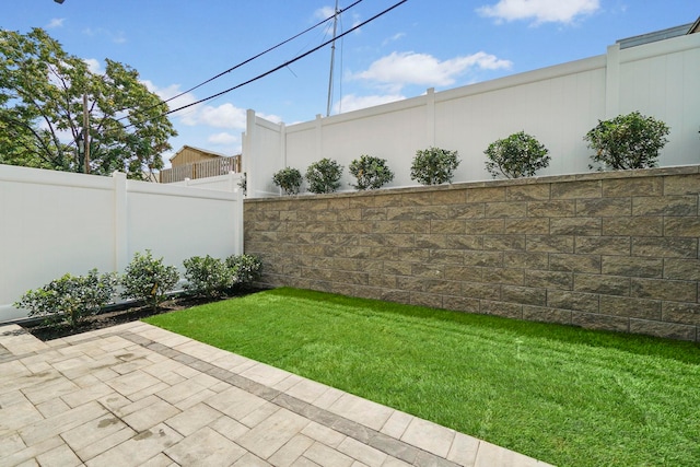 view of yard featuring a patio area