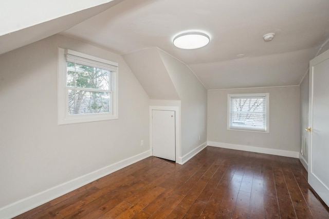 additional living space featuring a healthy amount of sunlight, lofted ceiling, baseboards, and wood-type flooring