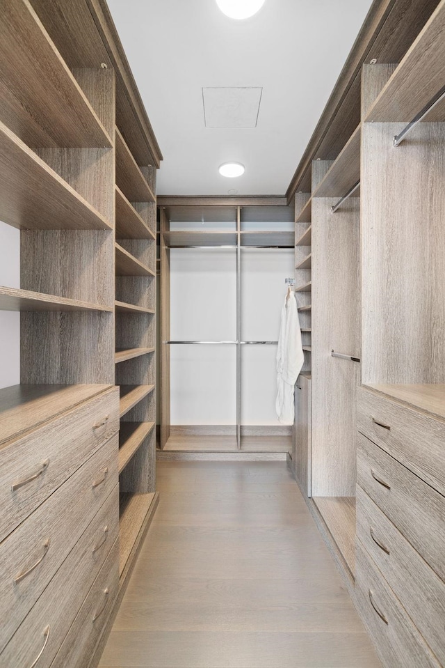 spacious closet with light wood-type flooring