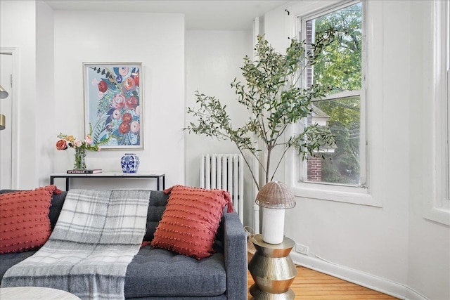 144 Nelson Ave, Jersey City, NJ 07307 - sitting room featuring radiator, wood finished floors, and baseboards