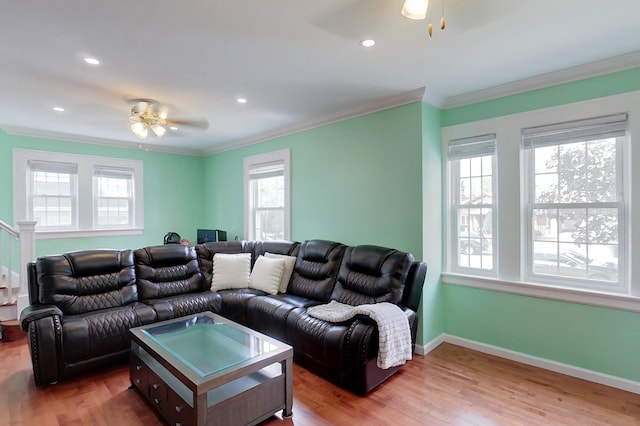 living room featuring wood-type flooring, ceiling fan, and crown molding