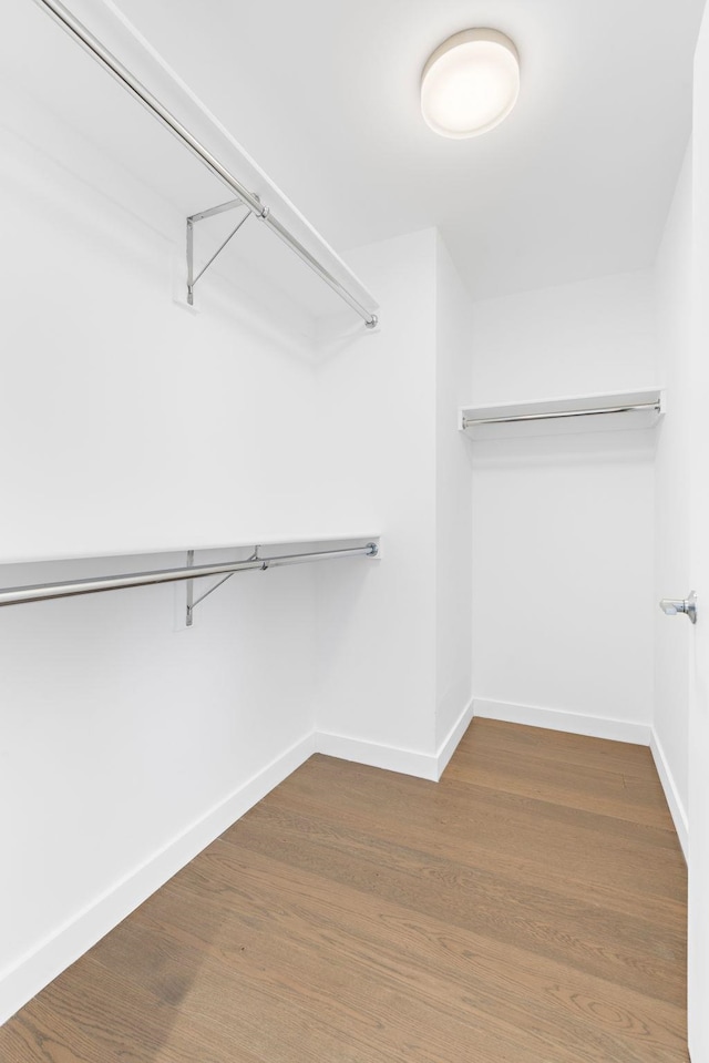 walk in closet featuring hardwood / wood-style flooring