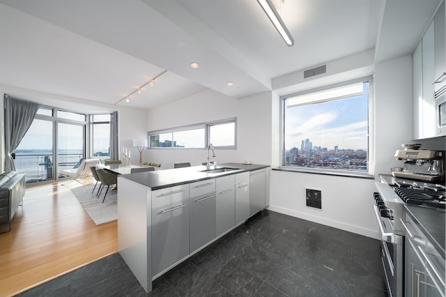 kitchen with dark wood-type flooring, rail lighting, sink, stainless steel stove, and kitchen peninsula