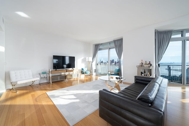 living room with expansive windows and light hardwood / wood-style flooring