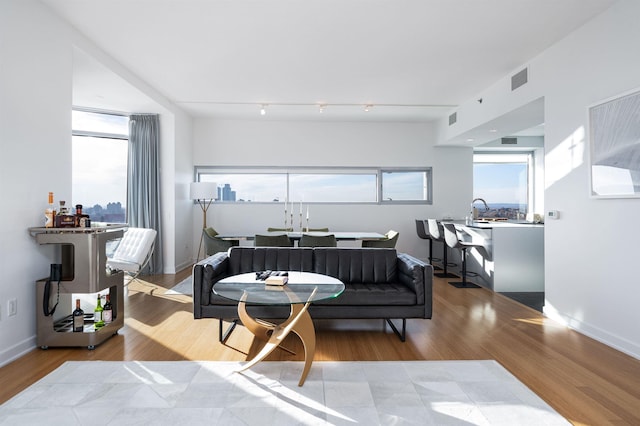 living room featuring light hardwood / wood-style flooring and sink