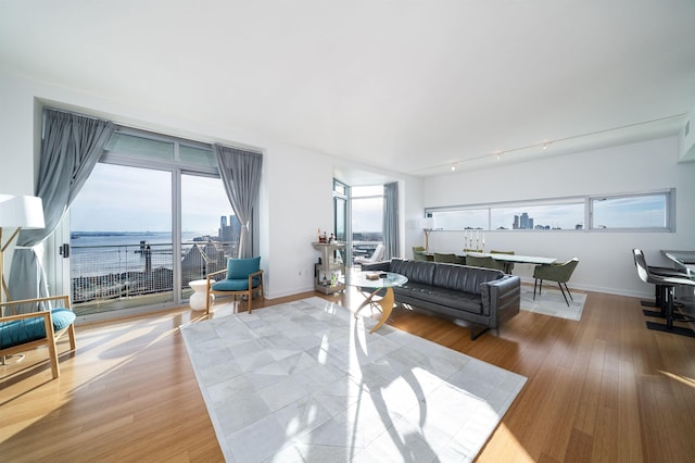 living room with a water view, a wealth of natural light, and light hardwood / wood-style flooring