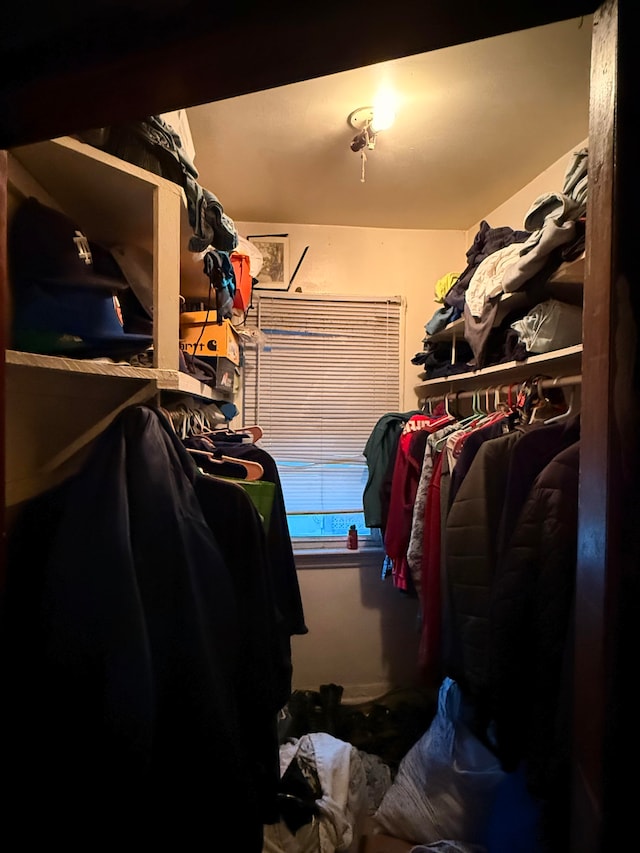 view of walk in closet