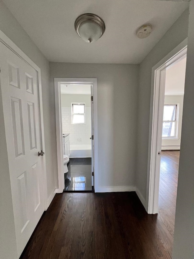 corridor featuring a baseboard heating unit, a healthy amount of sunlight, and dark hardwood / wood-style floors