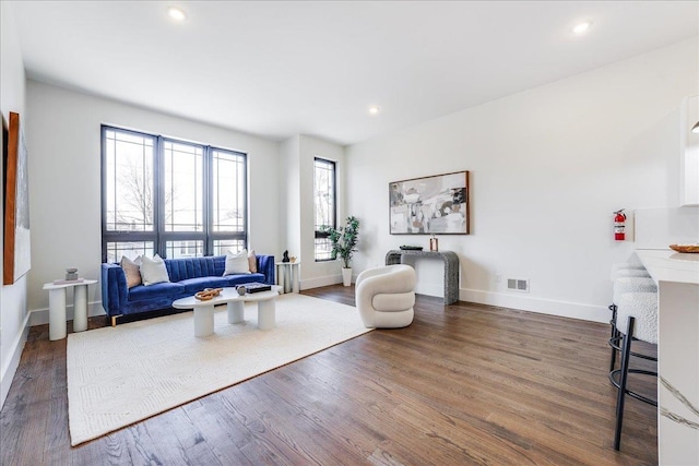 living room featuring dark hardwood / wood-style flooring