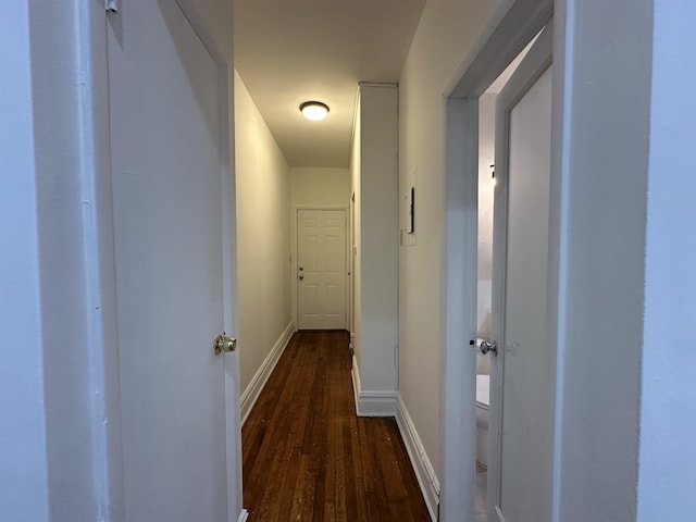 corridor with dark hardwood / wood-style flooring