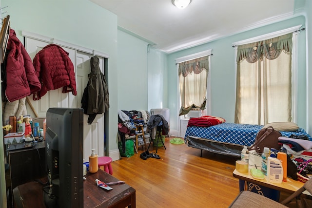 bedroom with a closet and wood-type flooring