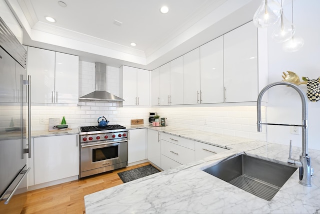 kitchen featuring a raised ceiling, wall chimney range hood, premium appliances, and a sink