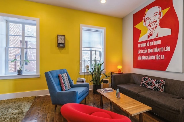 sitting room featuring wood finished floors, a wealth of natural light, and baseboards