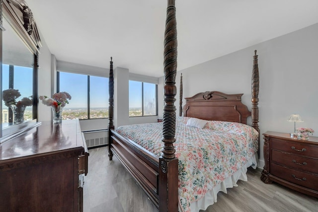 200 Winston Dr Unit 2502, Cliffside Park, NJ 07010 - bedroom with baseboards, multiple windows, and light wood-style flooring