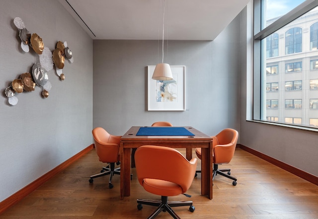 office featuring wood-type flooring