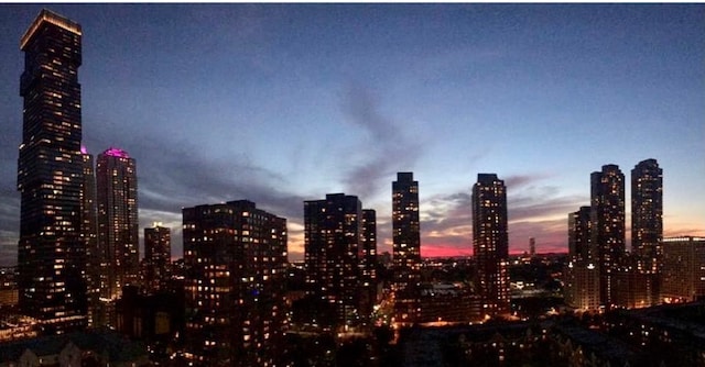 20 2nd St Unit 503, Jersey City, NJ 07302 - view of city skyline