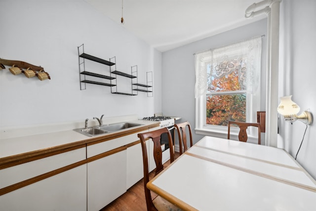 interior space featuring light hardwood / wood-style floors and sink