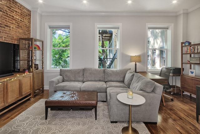 living room featuring crown molding and dark wood-type flooring