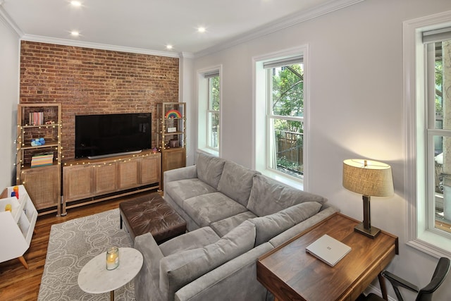 living room with wood-type flooring and crown molding