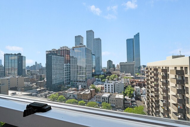 10 Huron Ave Unit 17F, Jersey City, NJ 07306 - skyline view