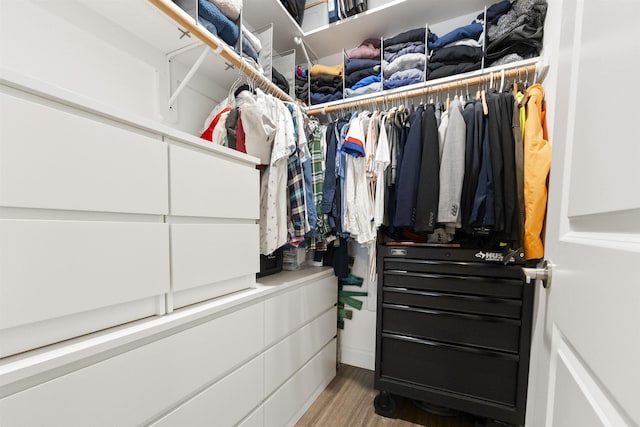 spacious closet featuring wood-type flooring