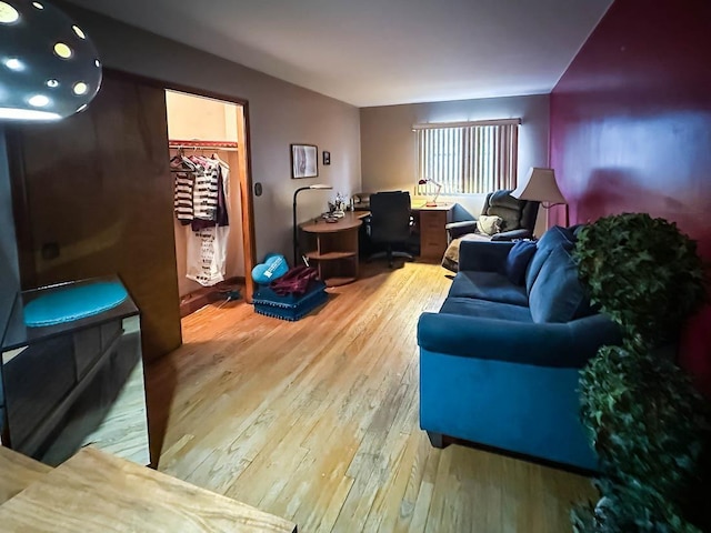 living room featuring wood-type flooring