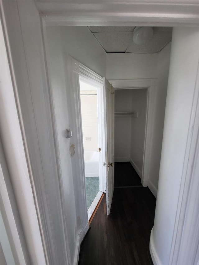 137 76th St, North Bergen, NJ 07047 - hall featuring dark wood-type flooring