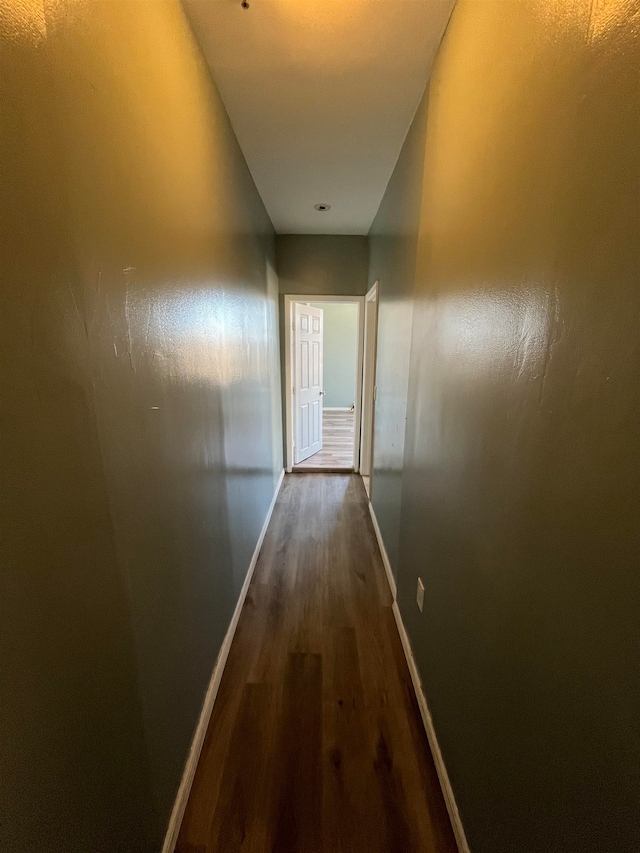 corridor featuring dark hardwood / wood-style flooring