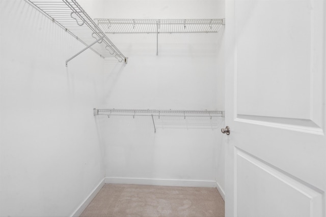443 2nd St Unit 412, Jersey City, NJ 07302 - walk in closet featuring light carpet