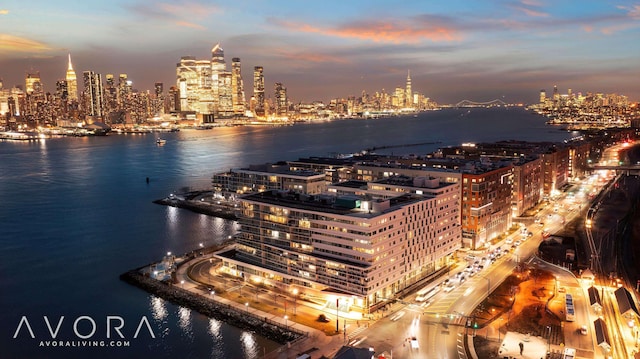 800 Ave At Port Imperial Unit 403, Weehawken, NJ 07086 - view of city skyline with a large body of water