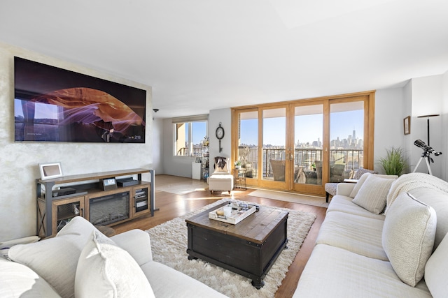 living area featuring a city view and wood finished floors