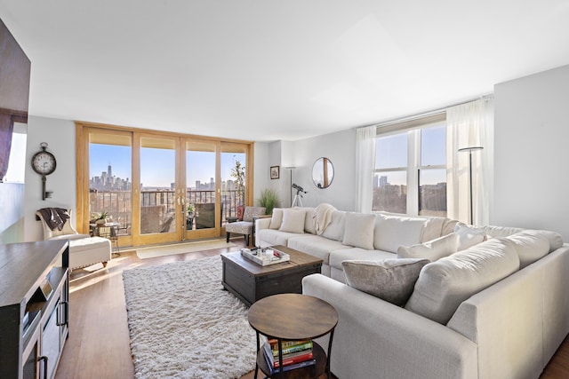 living room with a view of city, a healthy amount of sunlight, and wood finished floors