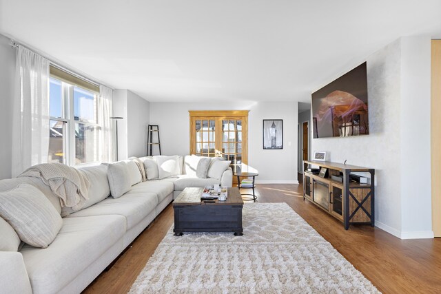 living area featuring wood finished floors, baseboards, and a healthy amount of sunlight