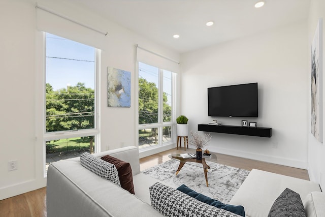 living room with hardwood / wood-style flooring