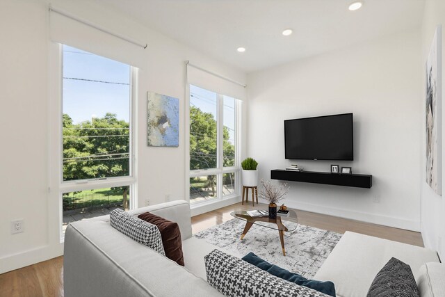 living room with hardwood / wood-style flooring and a wealth of natural light