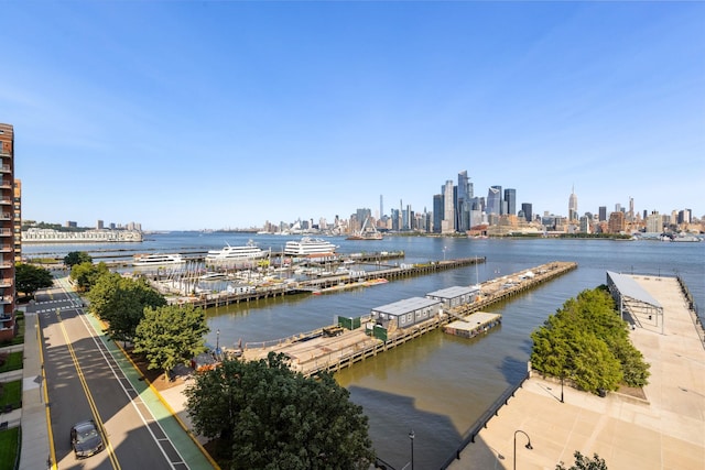 1125 Maxwell Ln Unit 654, Hoboken, NJ 07030 - water view with city skyline and a boat dock