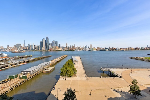 1125 Maxwell Ln Unit 654, Hoboken, NJ 07030 - dock featuring a view of skyline and a water view
