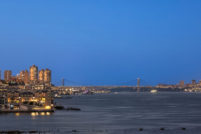 1125 Maxwell Ln Unit 654, Hoboken, NJ 07030 - water view with a notable bridge and a view of city lights