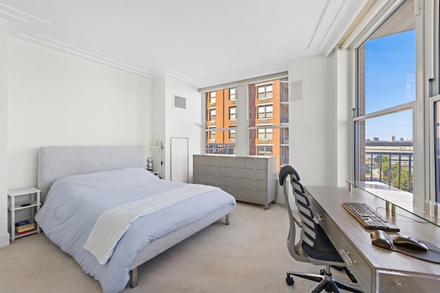 1125 Maxwell Ln Unit 654, Hoboken, NJ 07030 - bedroom featuring a desk and light carpet