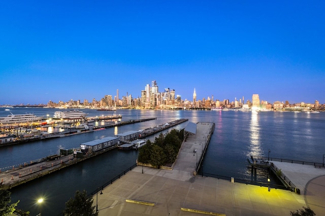 1125 Maxwell Ln Unit 654, Hoboken, NJ 07030 - dock featuring a skyline view and a water view