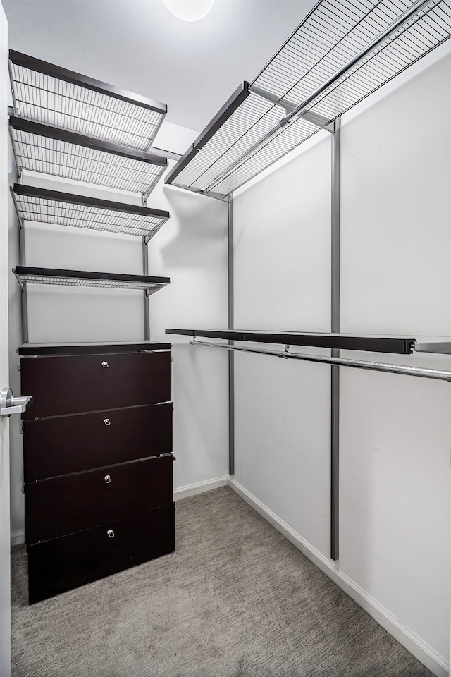 spacious closet with carpet