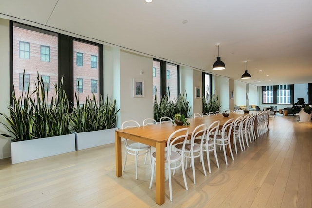 dining room featuring plenty of natural light, floor to ceiling windows, and light hardwood / wood-style flooring