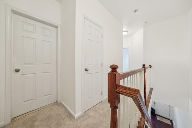 265 Custer Ave Unit 103, Jersey City, NJ 07305 - corridor featuring an upstairs landing and light carpet