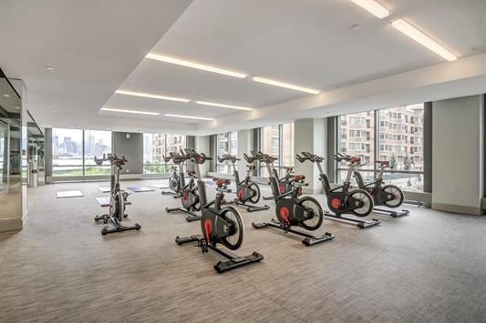 exercise room with expansive windows