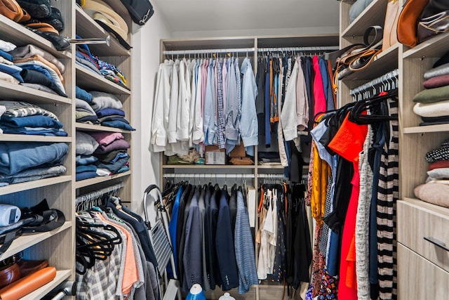 view of spacious closet