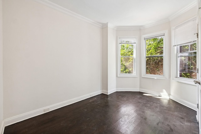 37 Astor Pl, Jersey City, NJ 07304 - photo 19